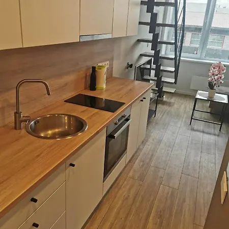 Апартаменты Lofto Tipo 2 Kambariu Butas Каунас Экстерьер фото
